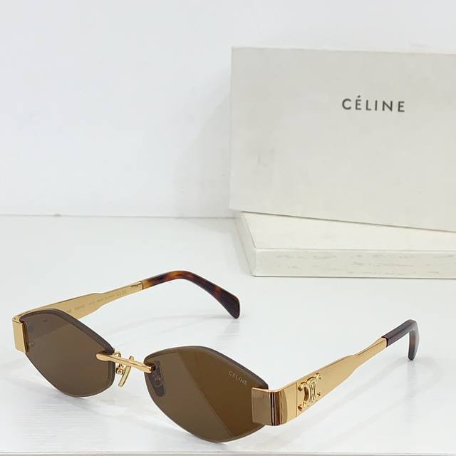 Celine Model ：Cl42096U Size：56-17-145