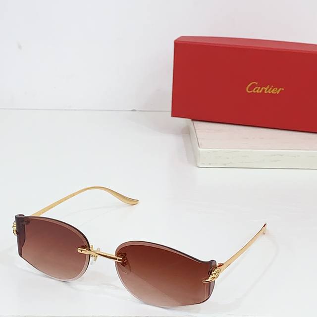 Cartie*Model：Ct0683S Size: 59口18-135